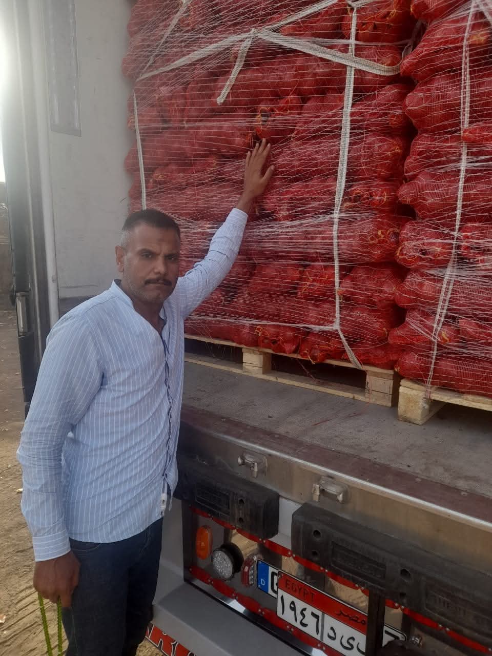 Onions 6