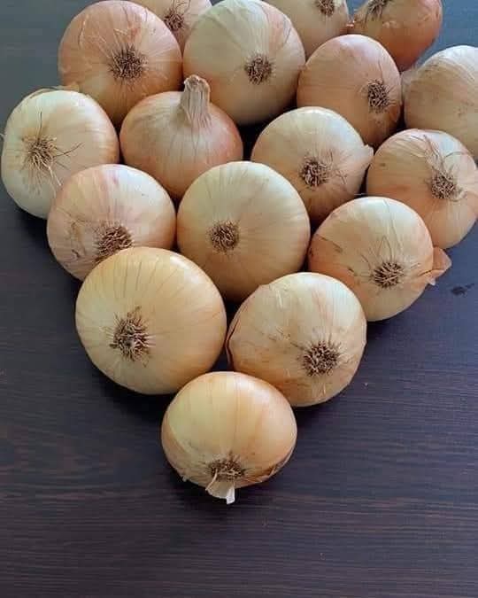 Onions