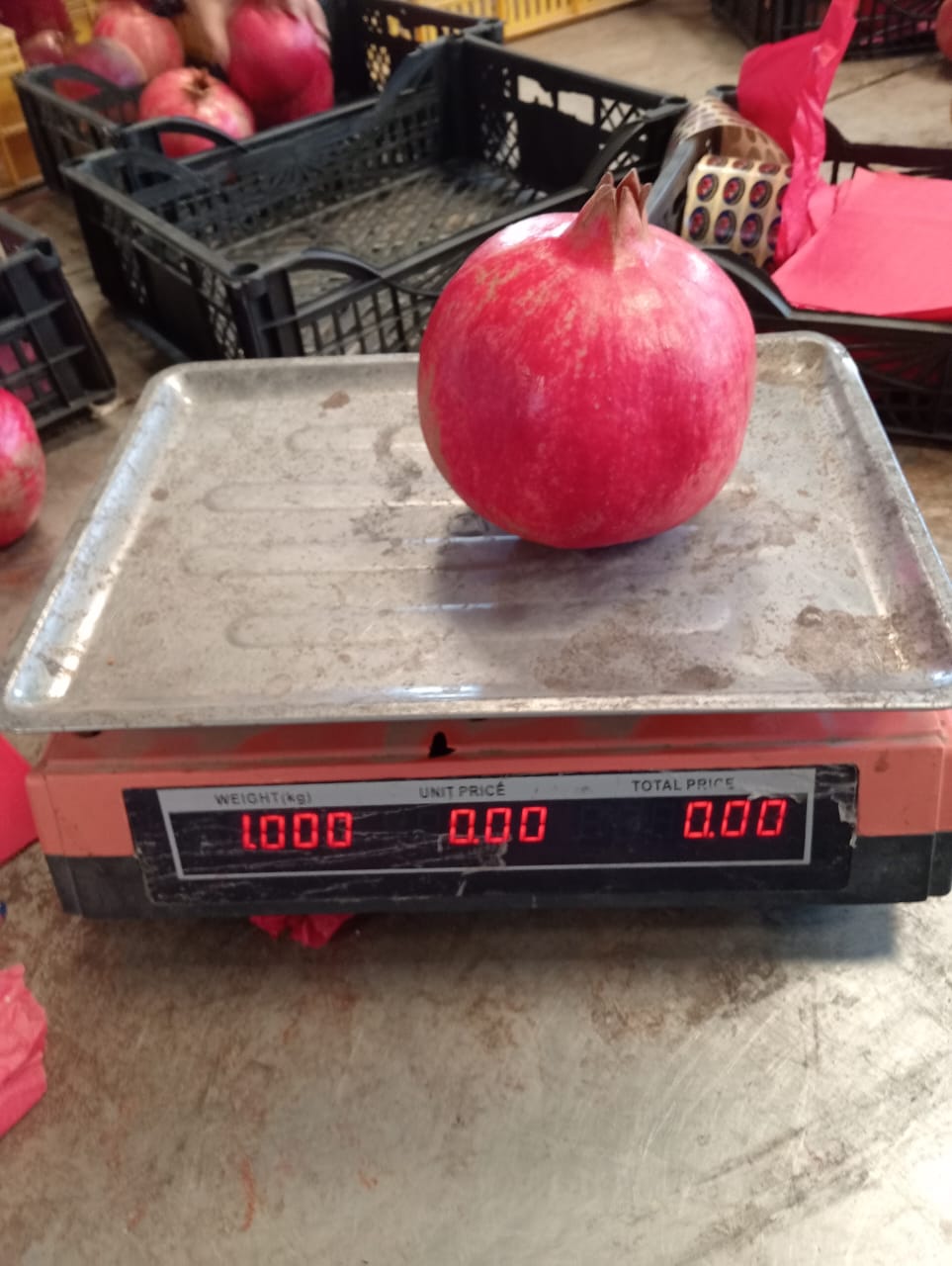 Pomegranates 5