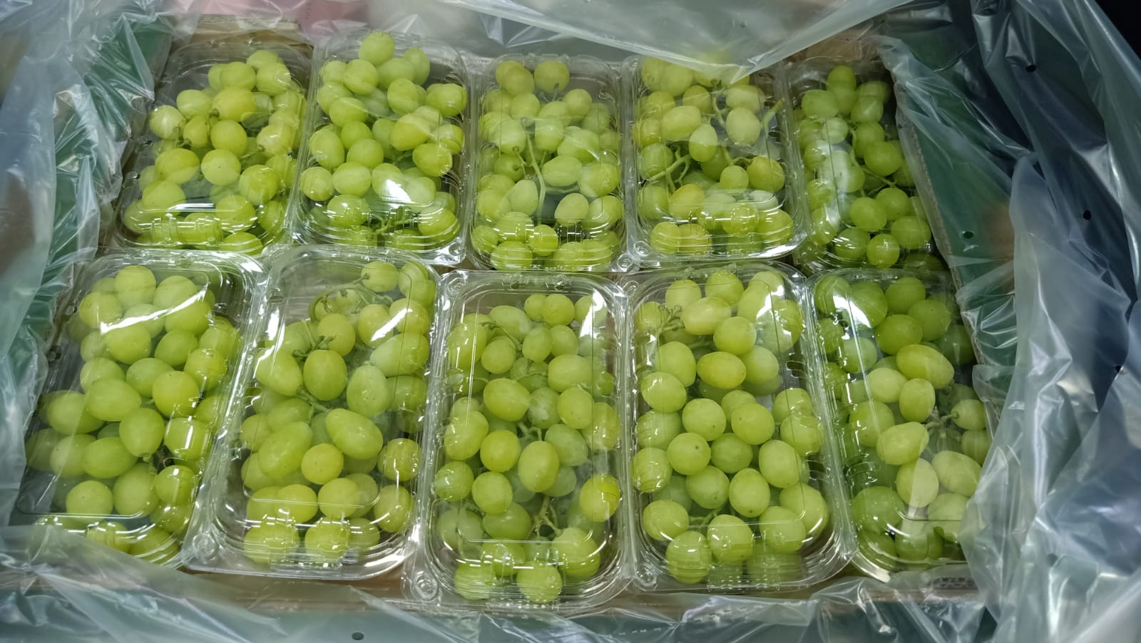 Grapes 6
