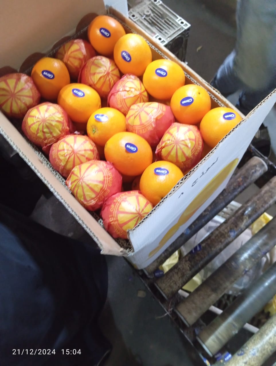 Oranges 11