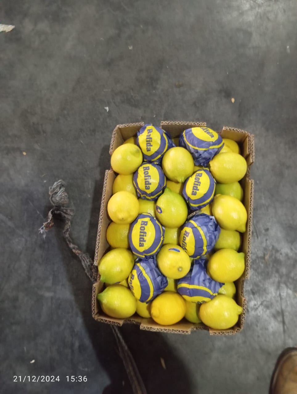 Lemons 10