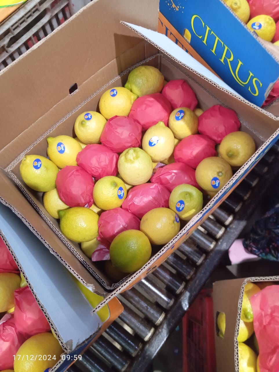 Lemons 11