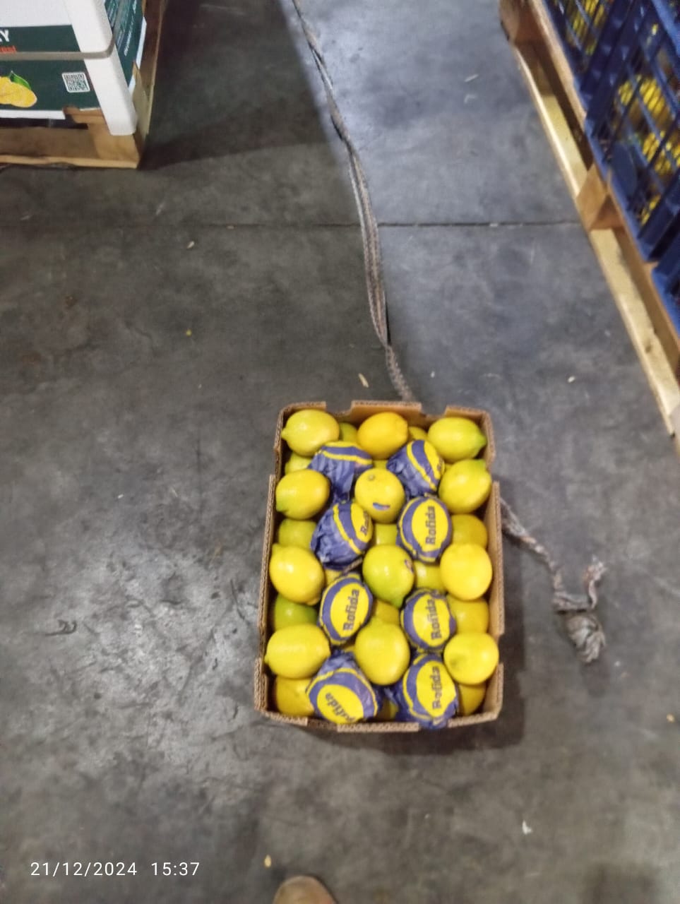 Lemons 7