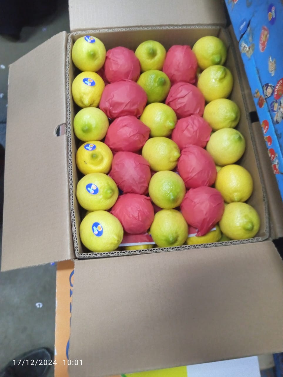 Lemons 9