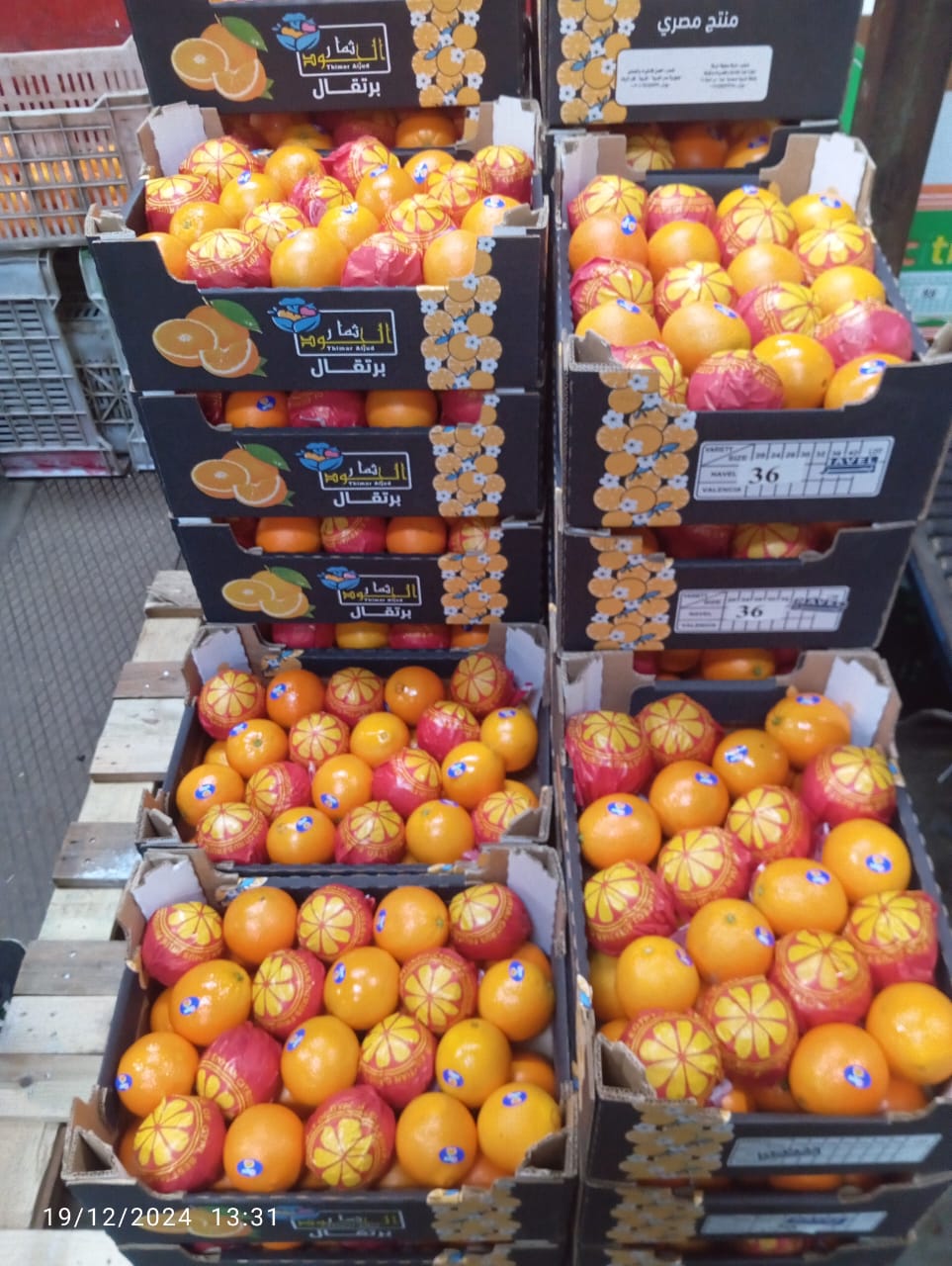 Oranges 7