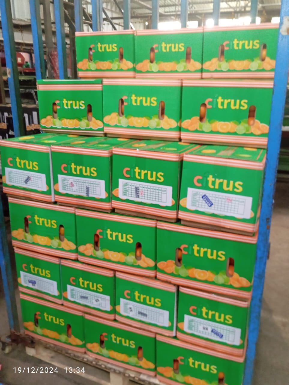 Oranges 8