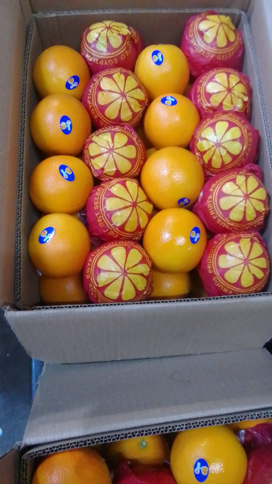 Oranges 9
