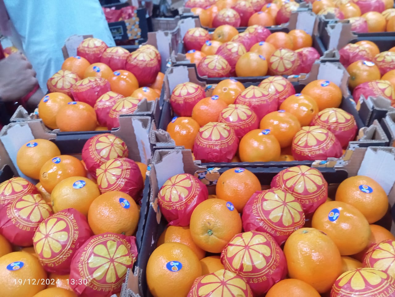 Oranges 6