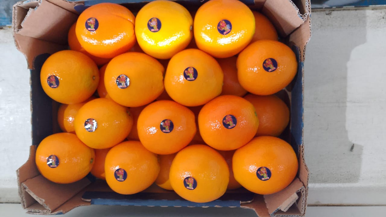 Oranges 5