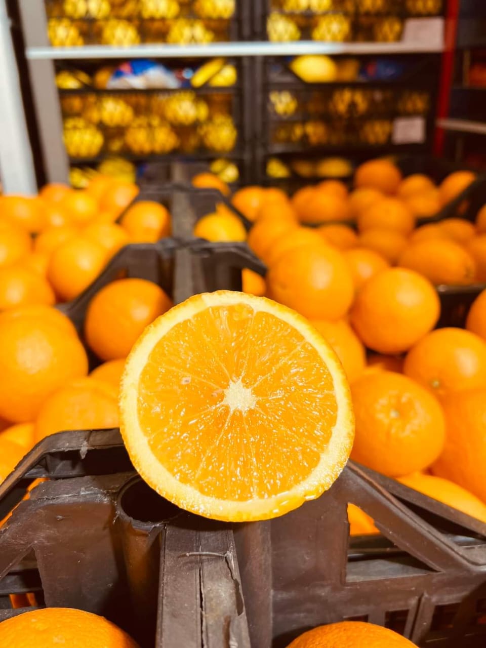 Oranges 4