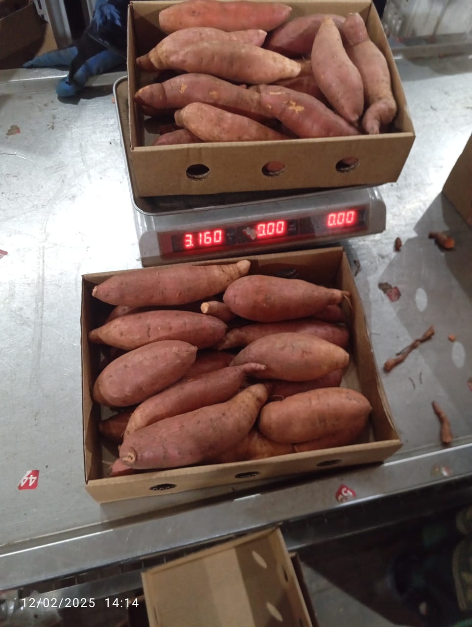 Sweet Potatoes 4