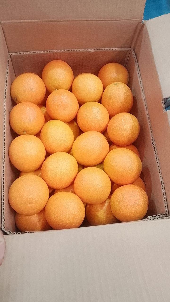 Oranges 3