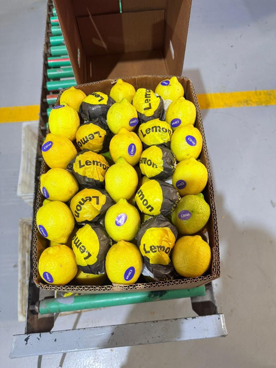 Lemons 2