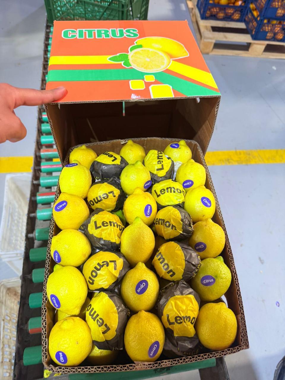 Lemons 3
