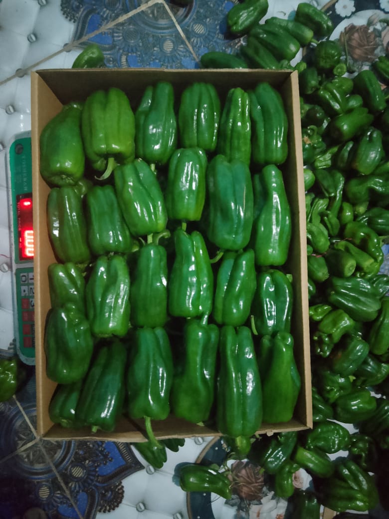 Peppers 2