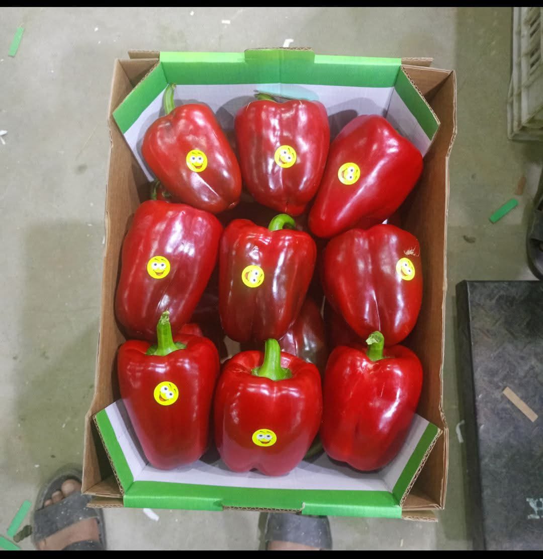 Peppers 9