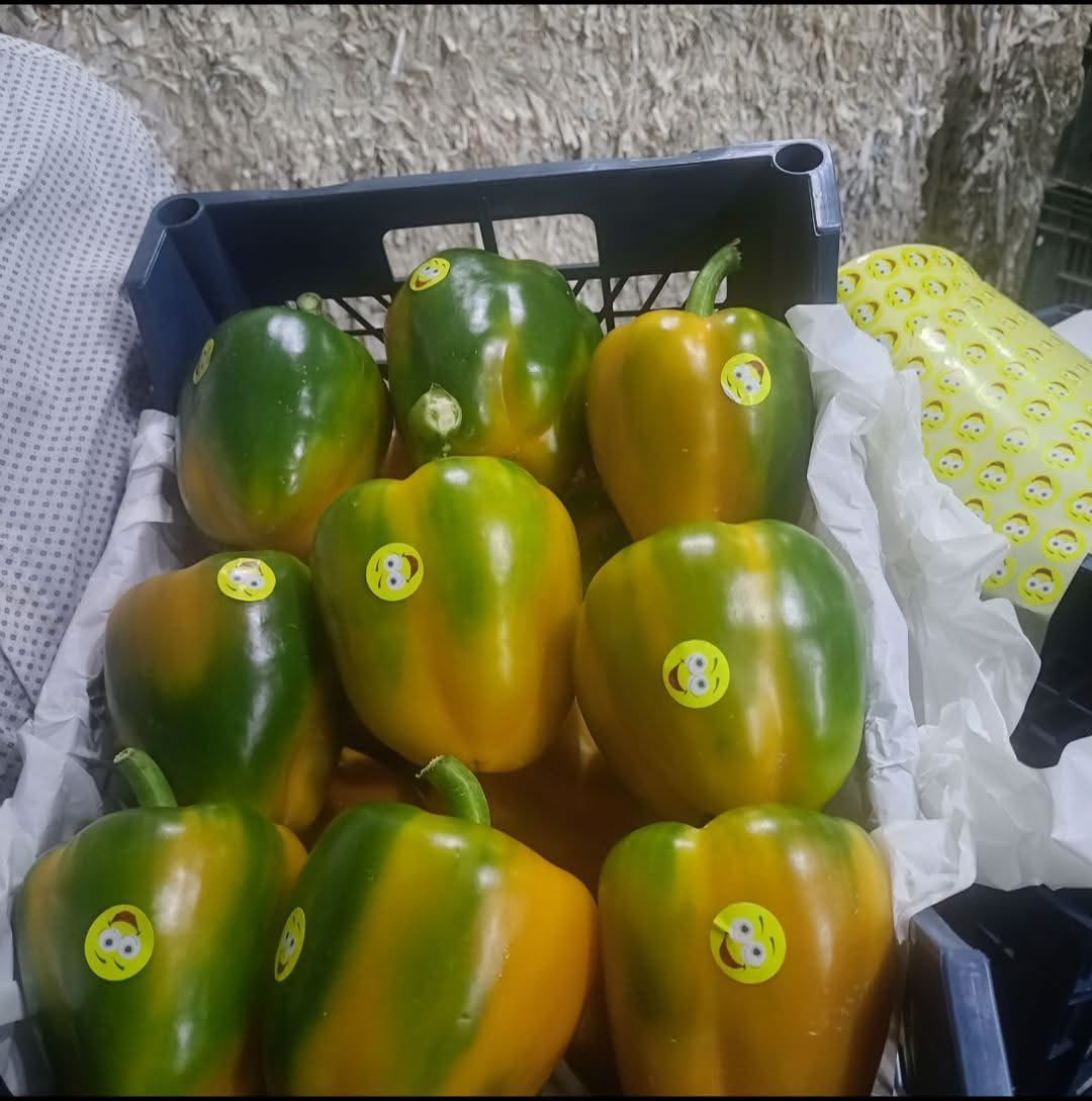 Peppers 8