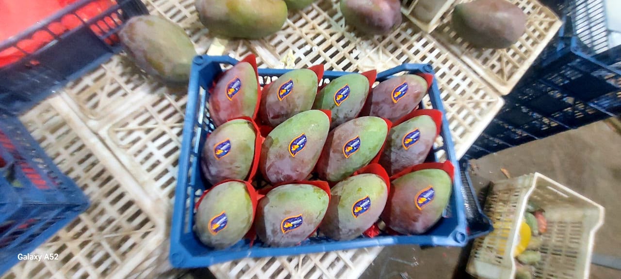 Mangoes 2