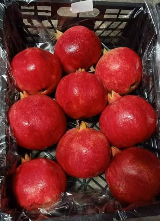 Pomegranates 3