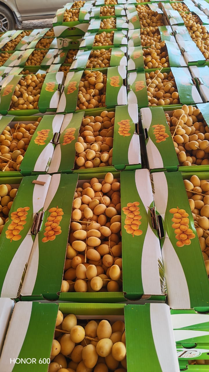 Barhi Dates