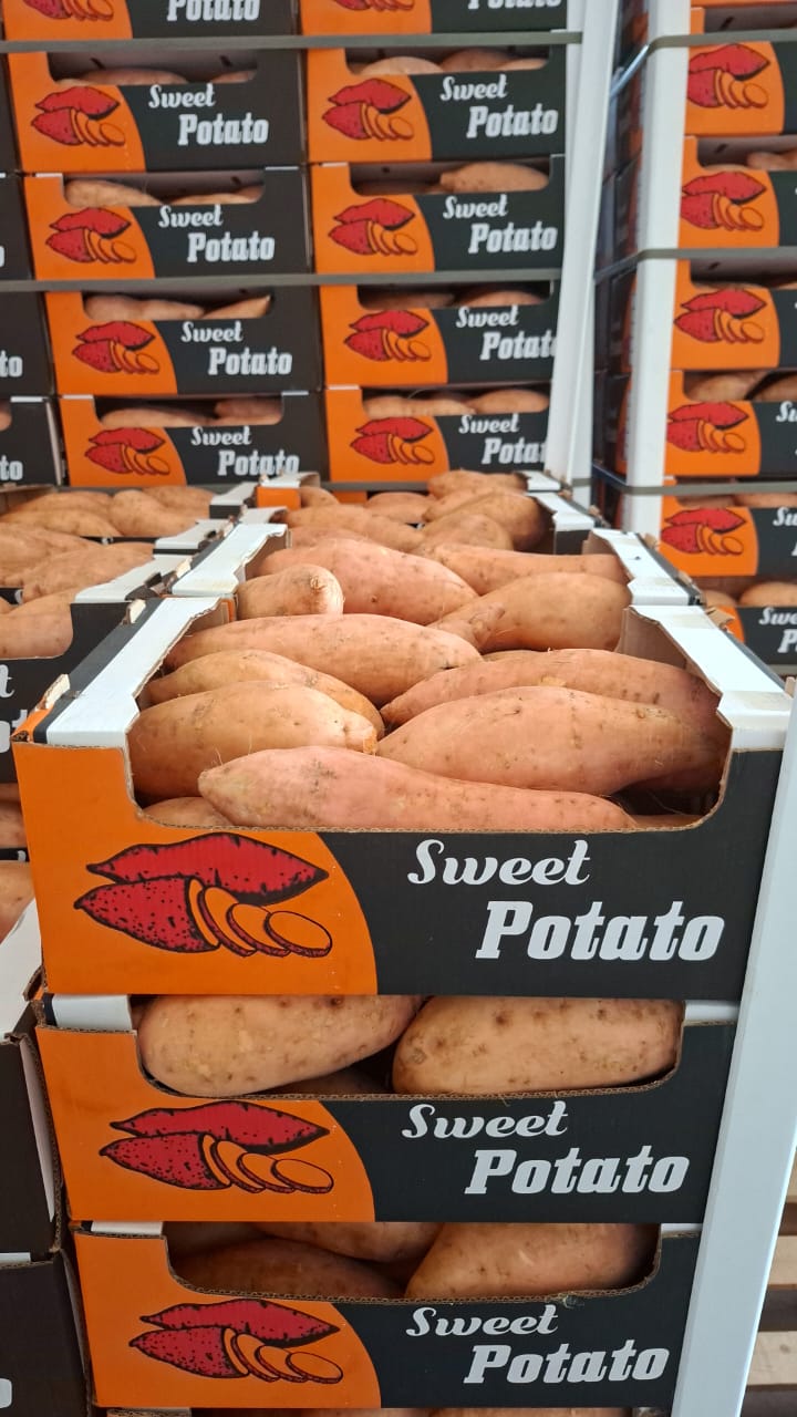Sweet Potatoes 2