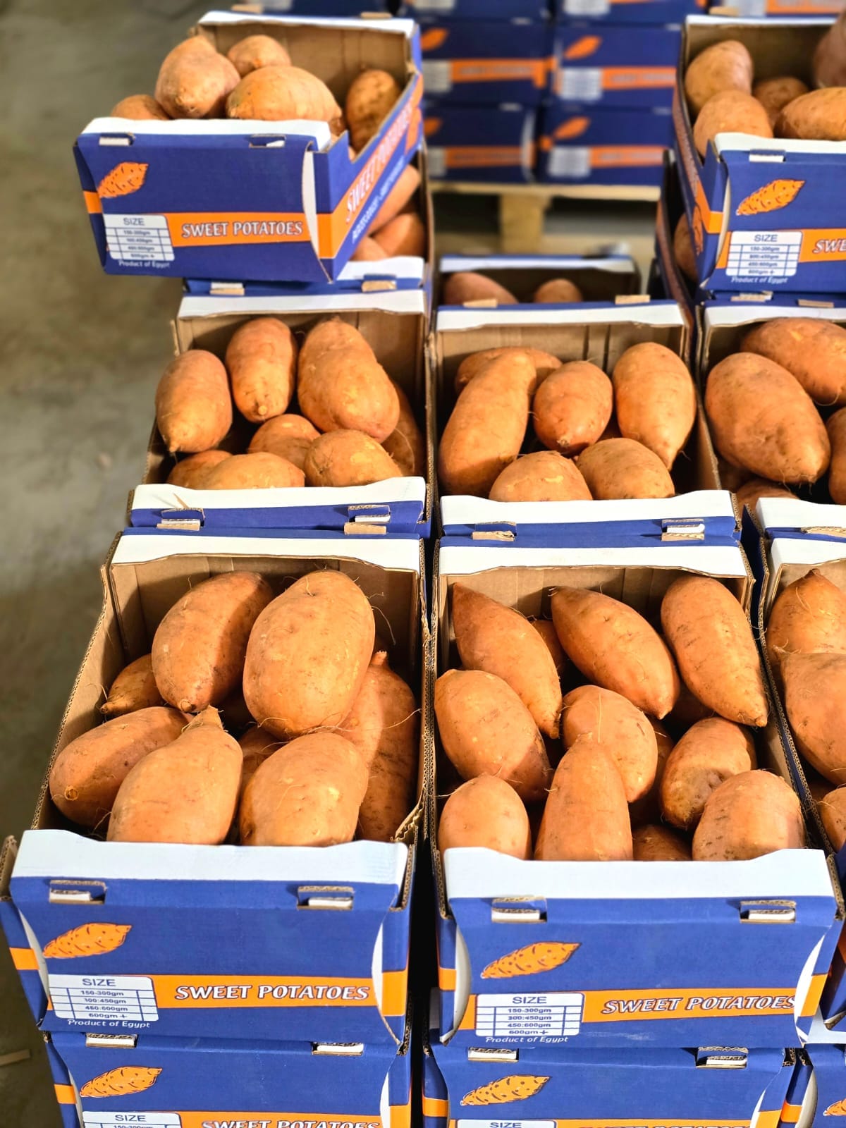 Sweet Potatoes