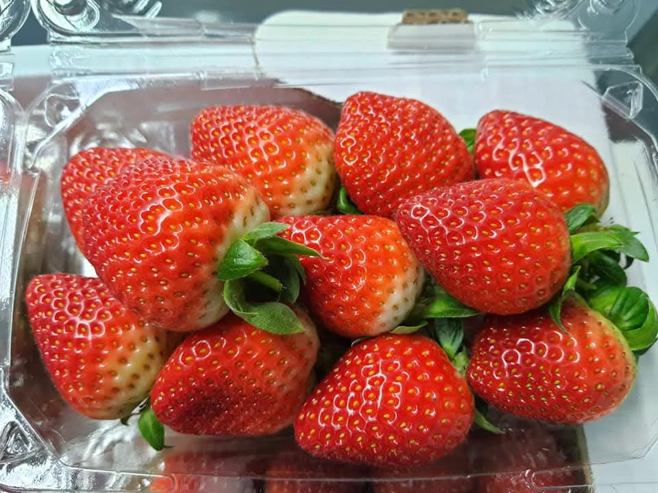 Strawberries