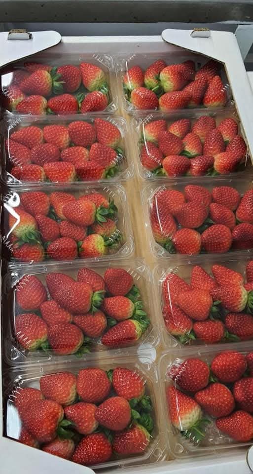 Strawberries 2