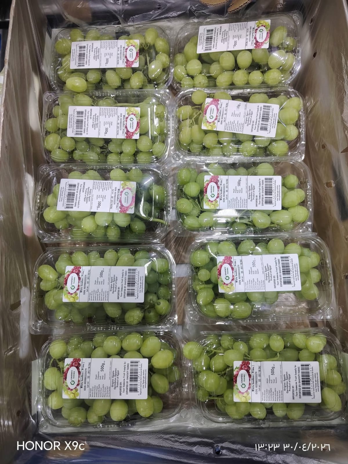 Grapes 2