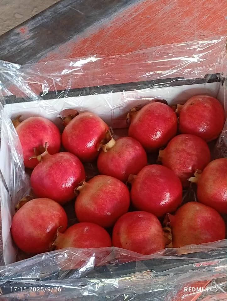 Pomegranates 2
