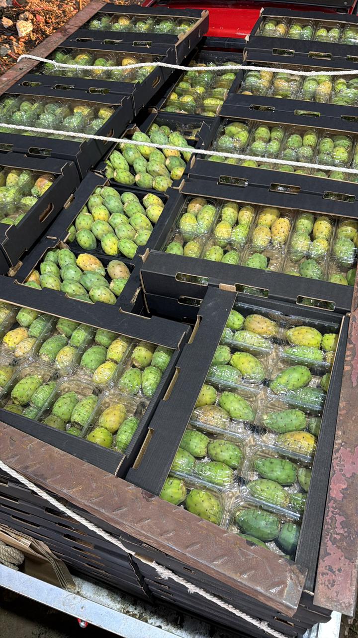 Fresh Egyptian agricultural produce from Cairo Sky