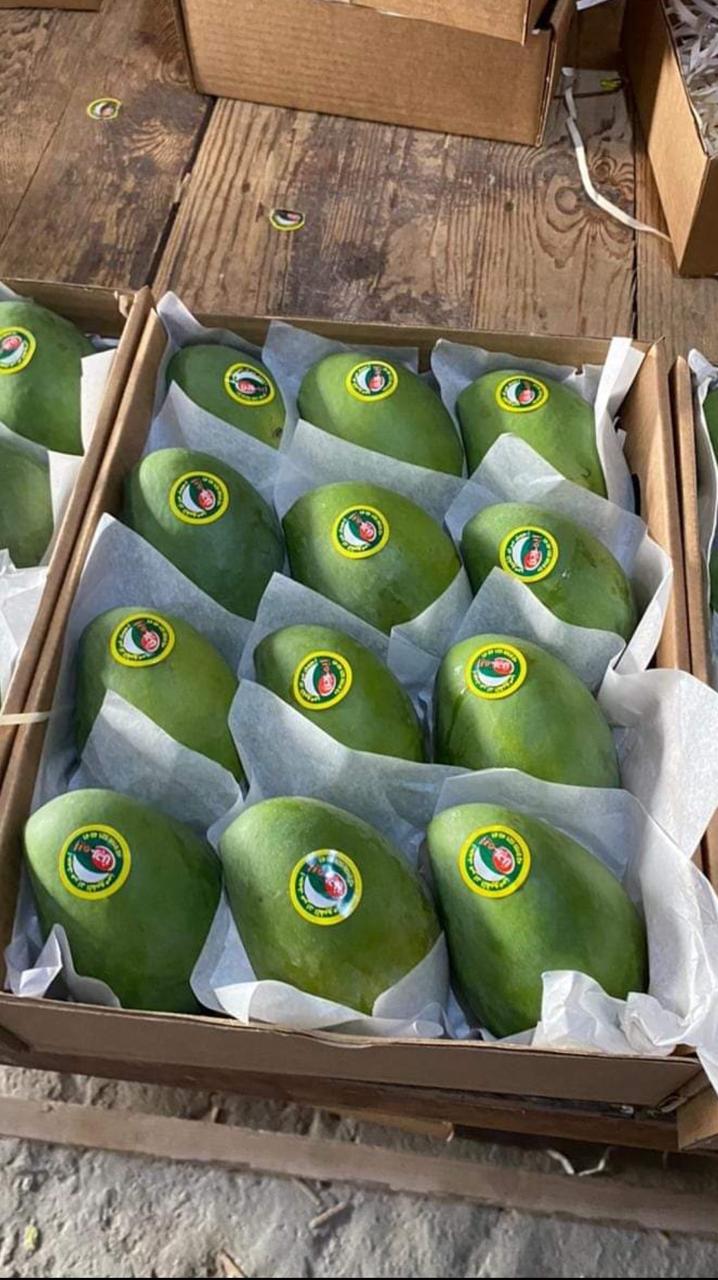 Fresh Egyptian agricultural produce from Cairo Sky