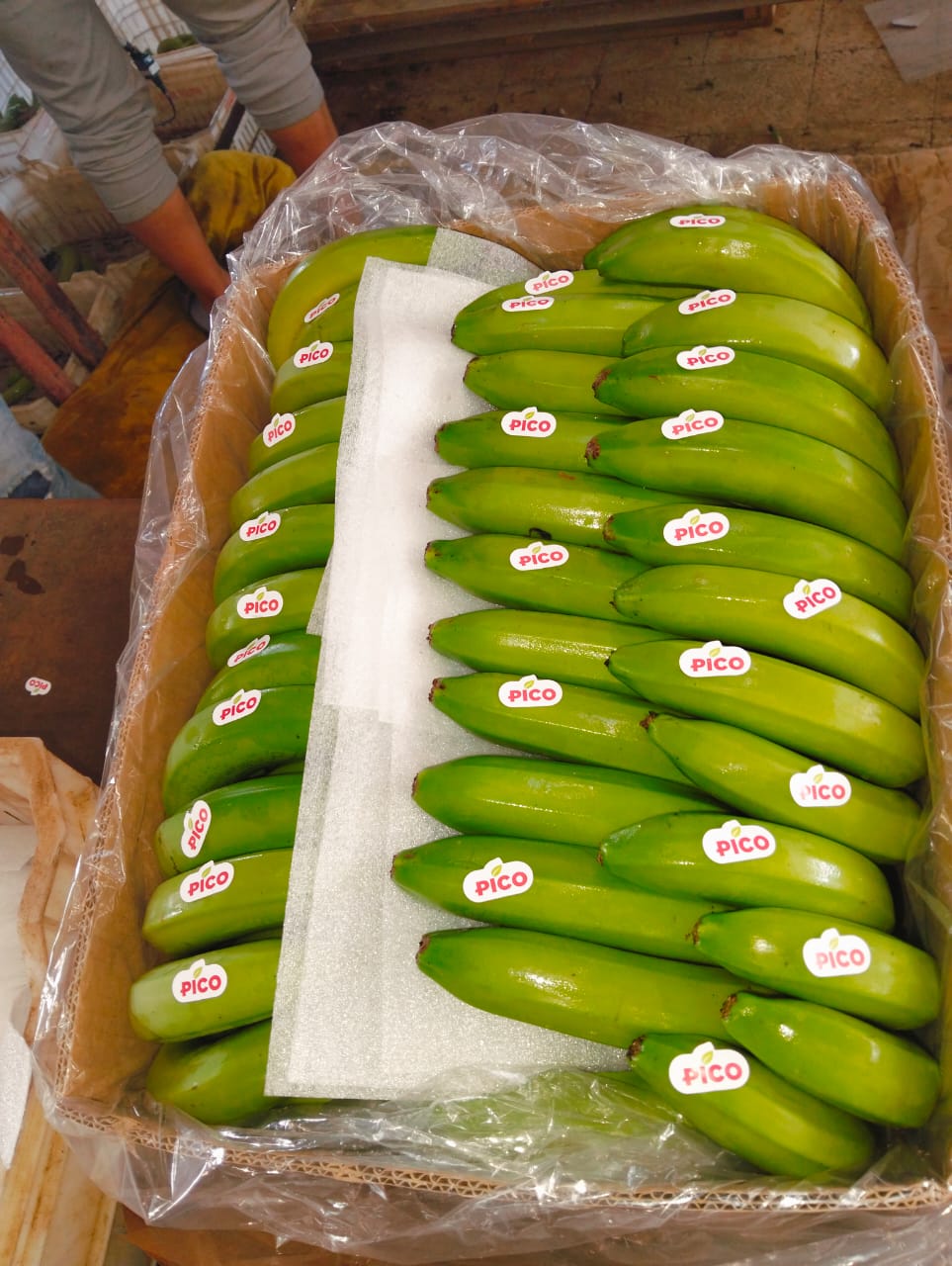 Fresh Egyptian agricultural produce from Cairo Sky