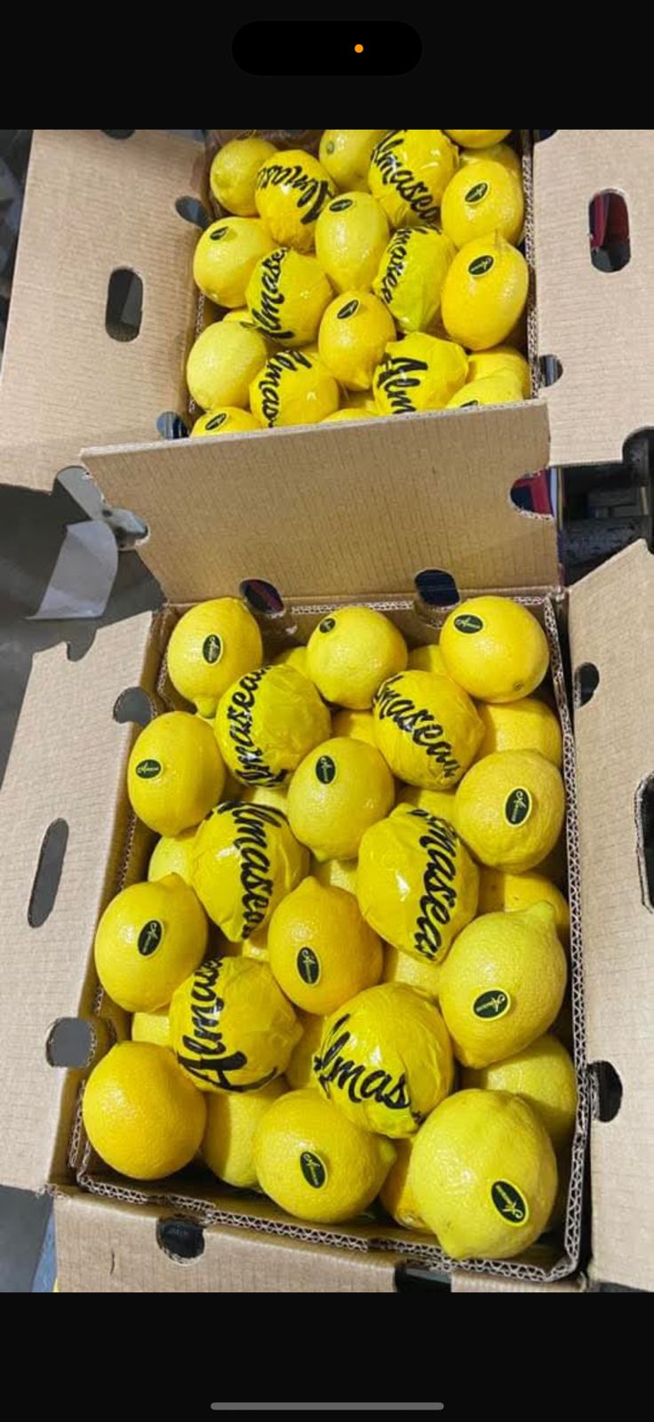 Lemons