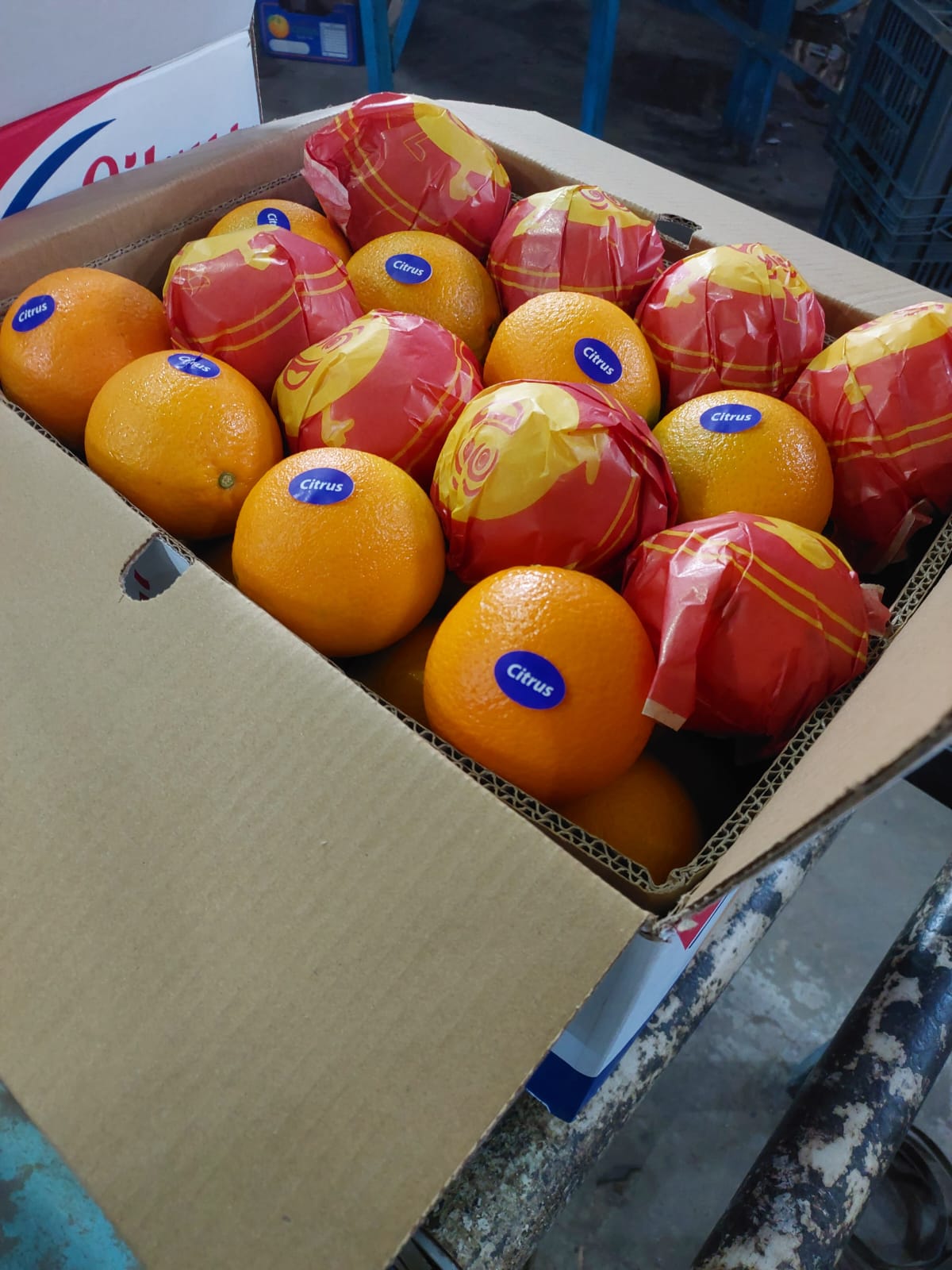 Oranges