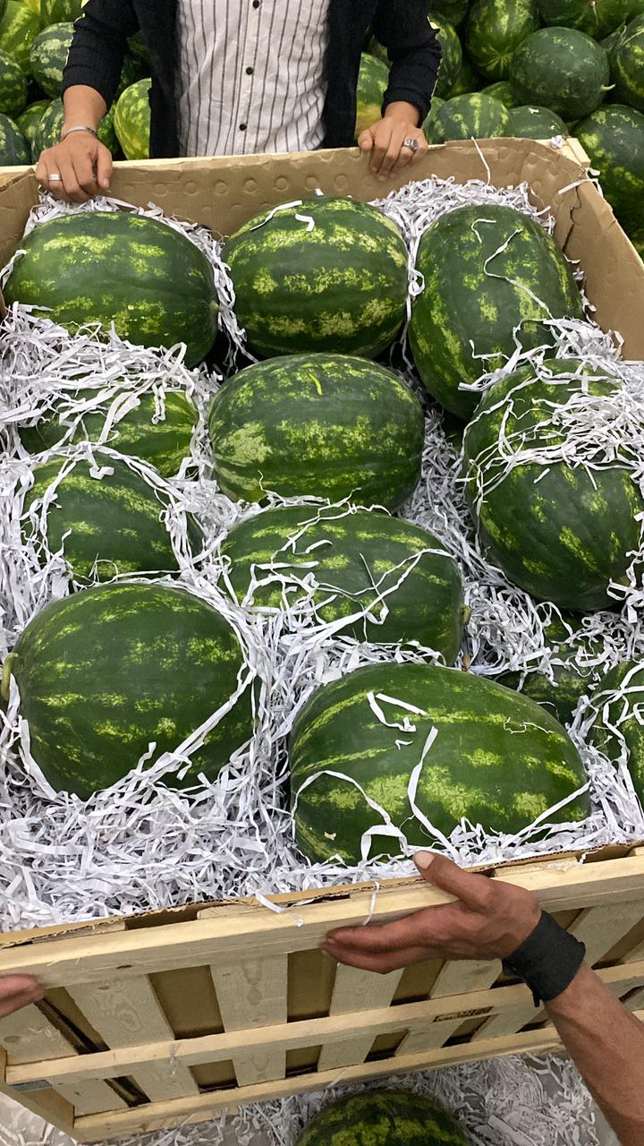 Watermelon